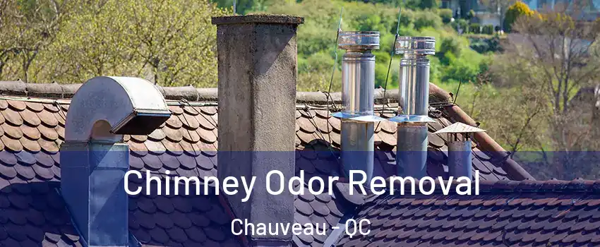 Chimney Odor Removal Chauveau - QC