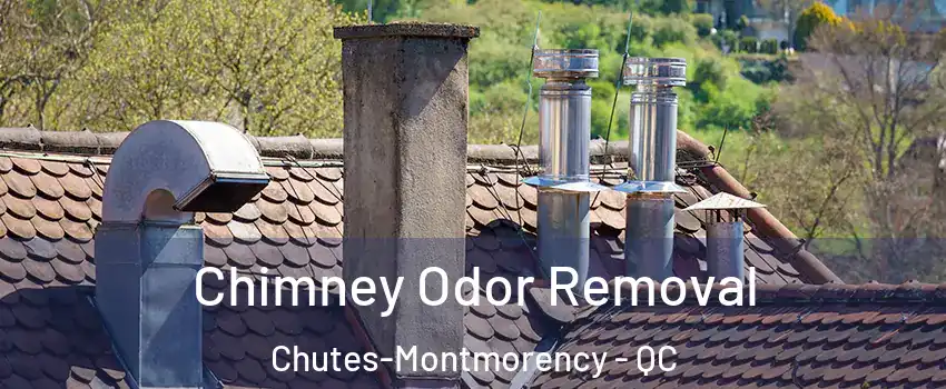  Chimney Odor Removal Chutes-Montmorency - QC