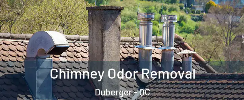  Chimney Odor Removal Duberger - QC