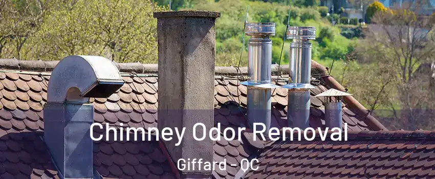  Chimney Odor Removal Giffard - QC