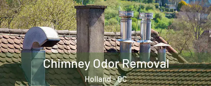  Chimney Odor Removal Holland - QC