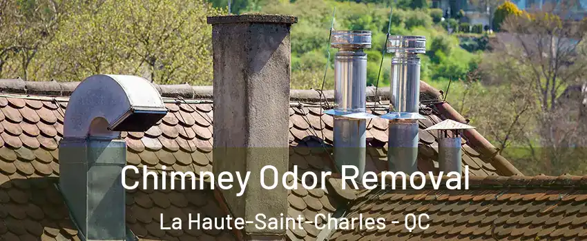 Chimney Odor Removal La Haute-Saint-Charles - QC
