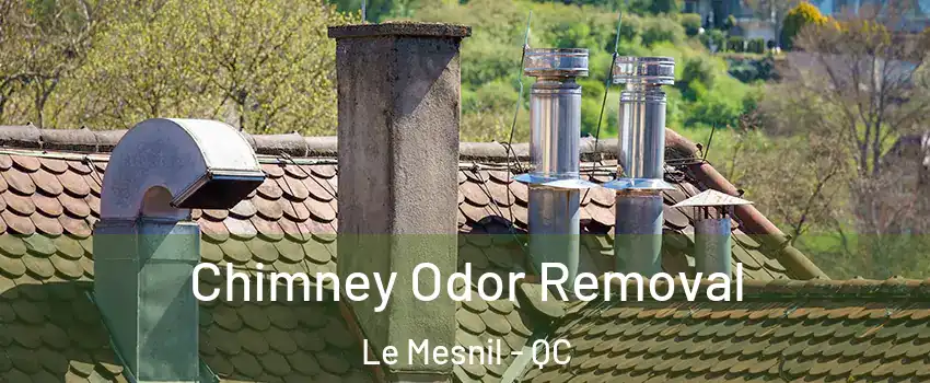  Chimney Odor Removal Le Mesnil - QC