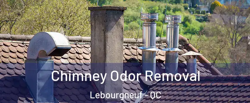  Chimney Odor Removal Lebourgneuf - QC