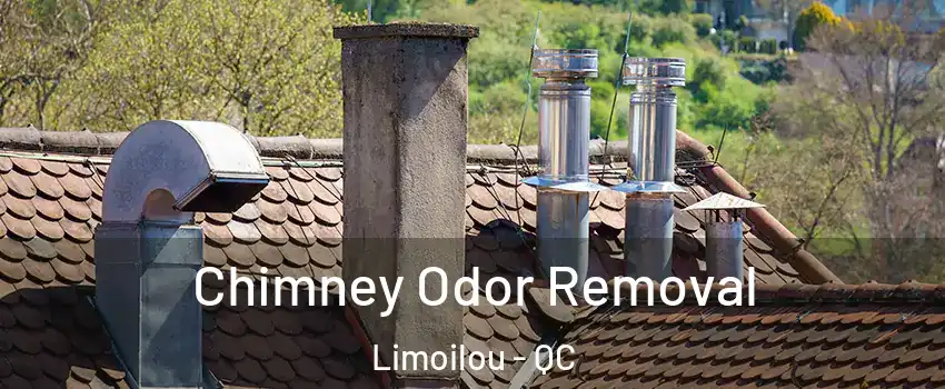  Chimney Odor Removal Limoilou - QC
