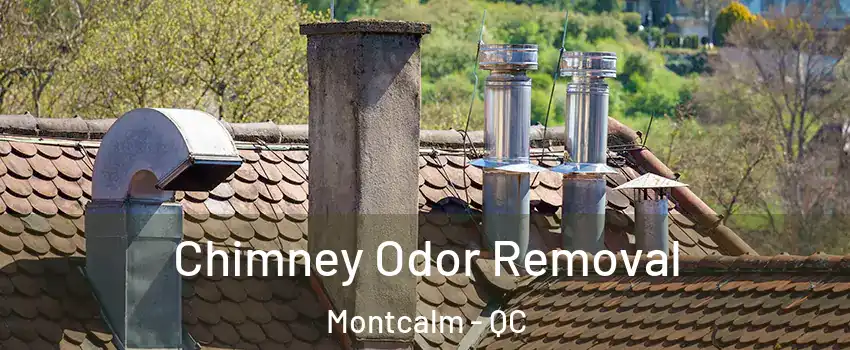  Chimney Odor Removal Montcalm - QC