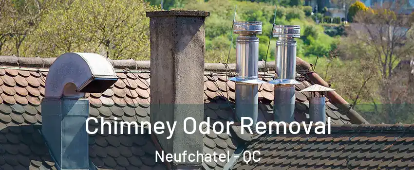  Chimney Odor Removal Neufchatel - QC