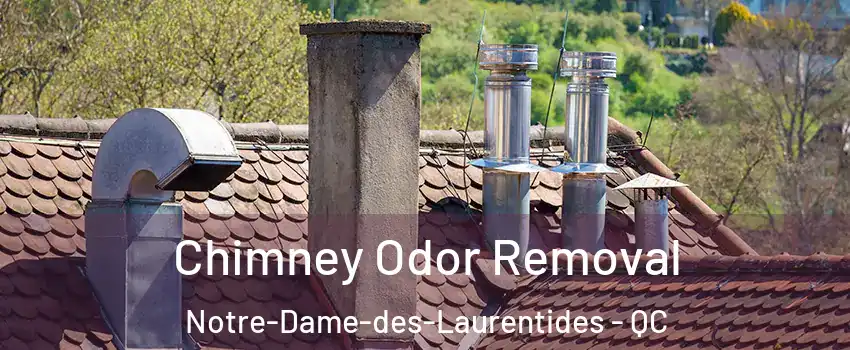 Chimney Odor Removal Notre-Dame-des-Laurentides - QC