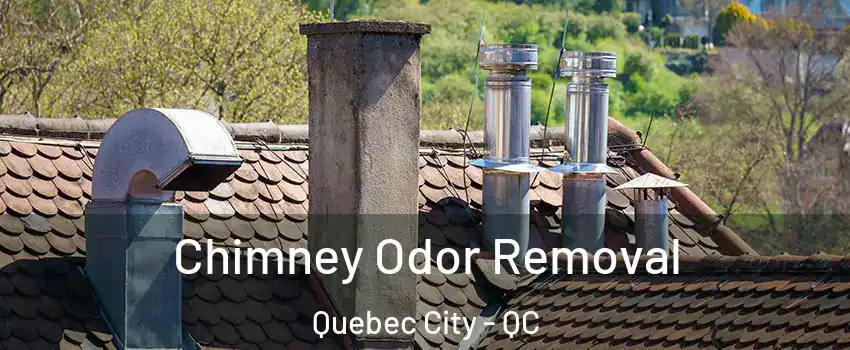  Chimney Odor Removal Quebec City - QC