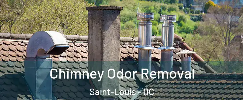  Chimney Odor Removal Saint-Louis - QC
