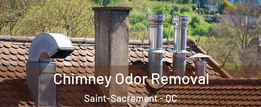  Chimney Odor Removal Saint-Sacrement - QC