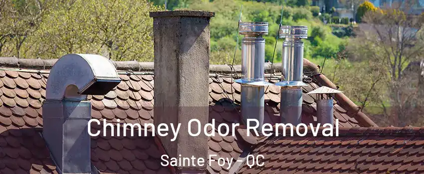  Chimney Odor Removal Sainte Foy - QC