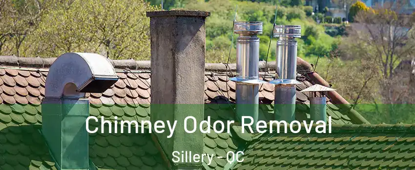  Chimney Odor Removal Sillery - QC