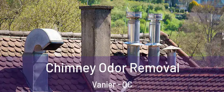  Chimney Odor Removal Vanier - QC