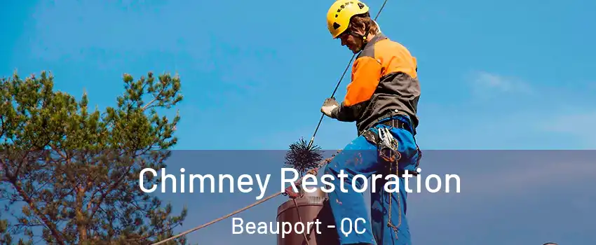 Chimney Restoration Beauport - QC
