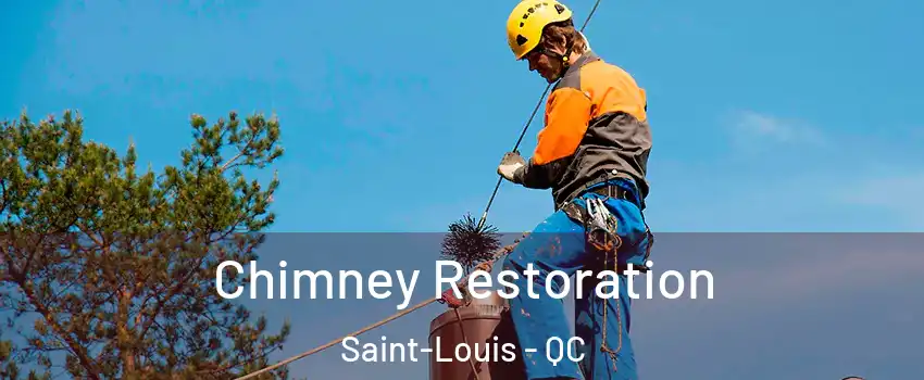  Chimney Restoration Saint-Louis - QC