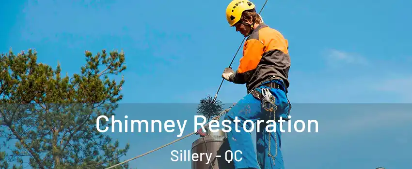  Chimney Restoration Sillery - QC