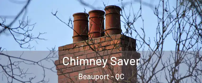  Chimney Saver Beauport - QC