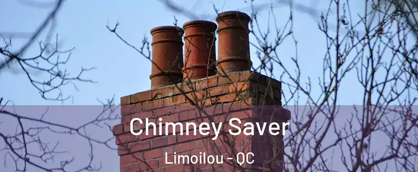  Chimney Saver Limoilou - QC
