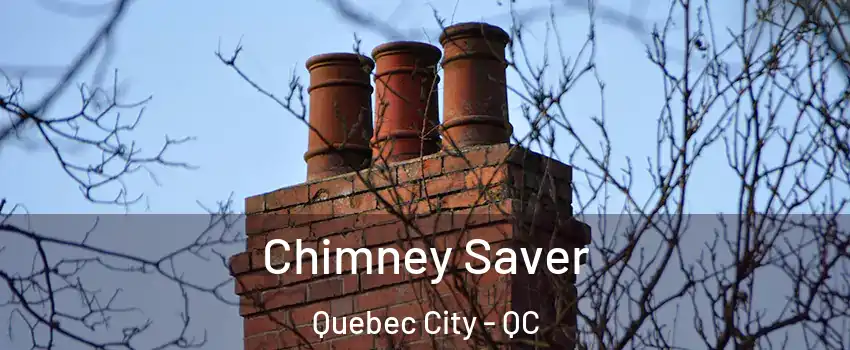  Chimney Saver Quebec City - QC
