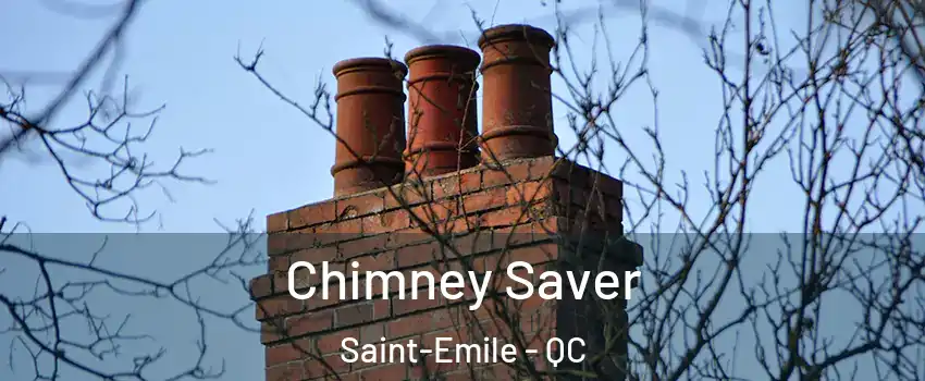  Chimney Saver Saint-Emile - QC
