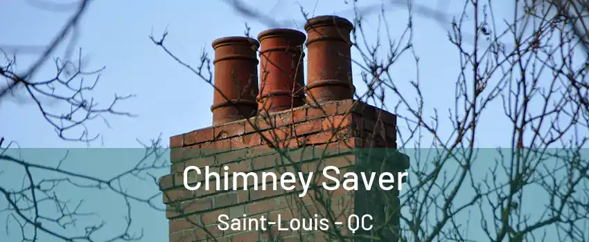  Chimney Saver Saint-Louis - QC