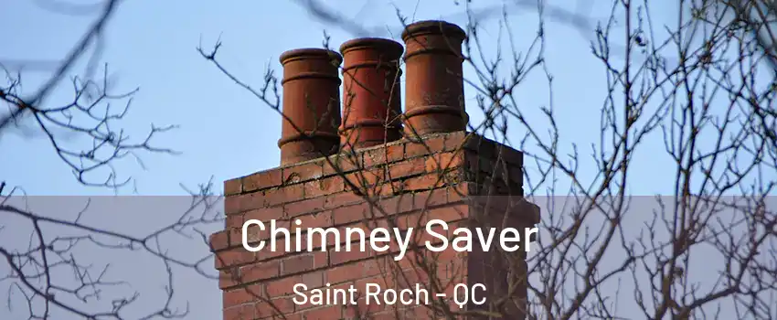 Chimney Saver Saint Roch - QC