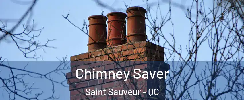  Chimney Saver Saint Sauveur - QC