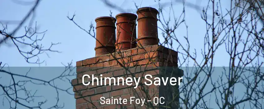 Chimney Saver Sainte Foy - QC