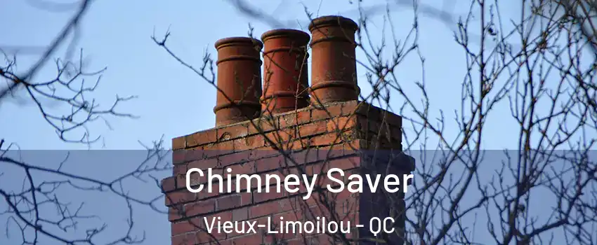 Chimney Saver Vieux-Limoilou - QC