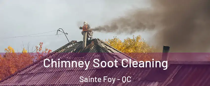 Chimney Soot Cleaning Sainte Foy - QC