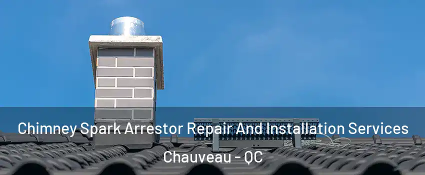  Chimney Spark Arrestor Repair And Installation Services Chauveau - QC