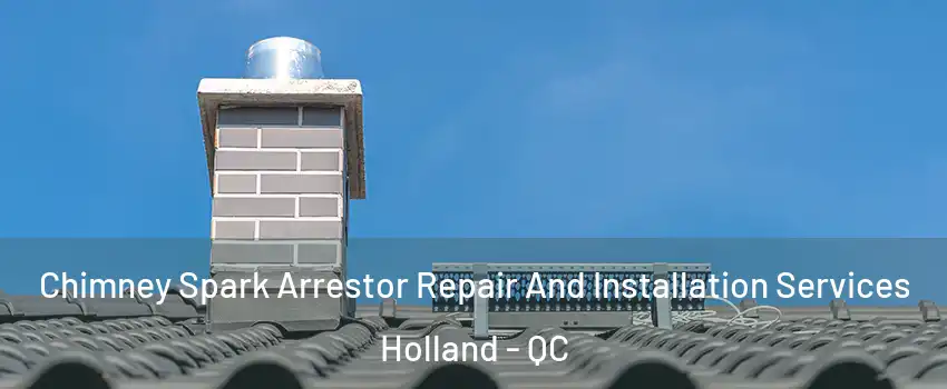  Chimney Spark Arrestor Repair And Installation Services Holland - QC
