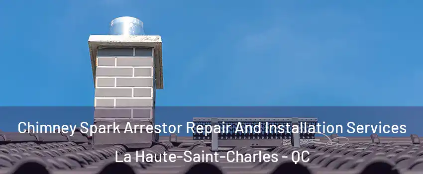  Chimney Spark Arrestor Repair And Installation Services La Haute-Saint-Charles - QC