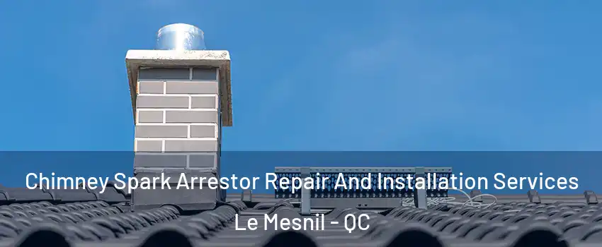  Chimney Spark Arrestor Repair And Installation Services Le Mesnil - QC