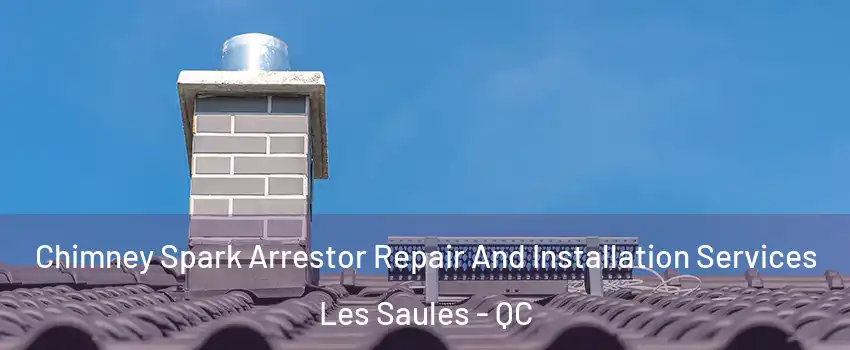  Chimney Spark Arrestor Repair And Installation Services Les Saules - QC