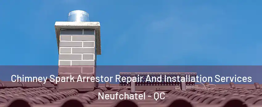  Chimney Spark Arrestor Repair And Installation Services Neufchatel - QC
