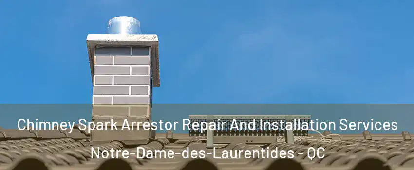  Chimney Spark Arrestor Repair And Installation Services Notre-Dame-des-Laurentides - QC