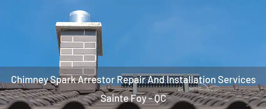  Chimney Spark Arrestor Repair And Installation Services Sainte Foy - QC
