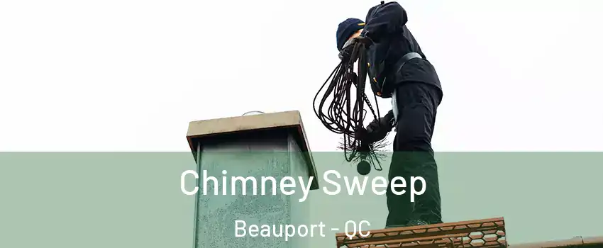  Chimney Sweep Beauport - QC