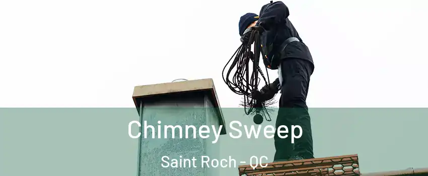 Chimney Sweep Saint Roch - QC