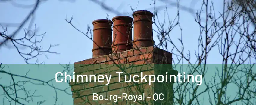  Chimney Tuckpointing Bourg-Royal - QC