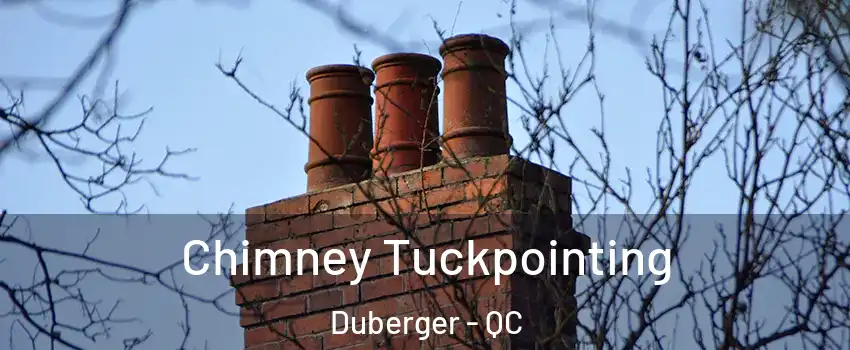 Chimney Tuckpointing Duberger - QC