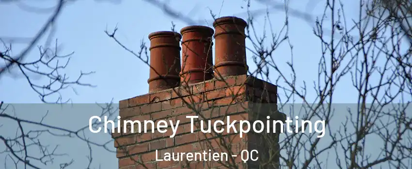 Chimney Tuckpointing Laurentien - QC