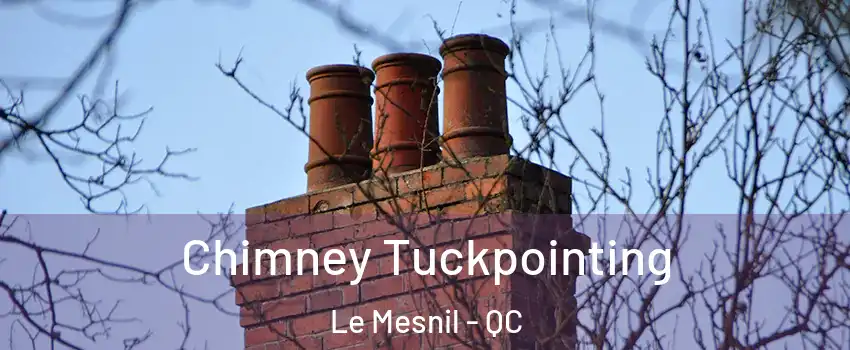 Chimney Tuckpointing Le Mesnil - QC