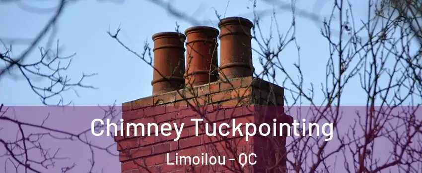  Chimney Tuckpointing Limoilou - QC