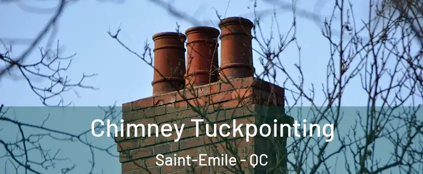  Chimney Tuckpointing Saint-Emile - QC