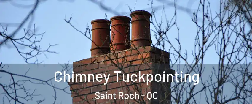  Chimney Tuckpointing Saint Roch - QC