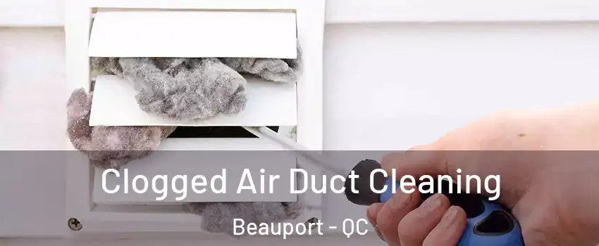  Clogged Air Duct Cleaning Beauport - QC