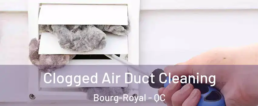  Clogged Air Duct Cleaning Bourg-Royal - QC
